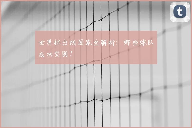 世界杯出线国家全解析：哪些球队成功突围？