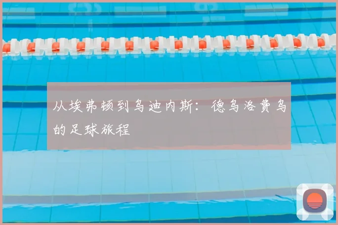 从埃弗顿到乌迪内斯：德乌洛费乌的足球旅程